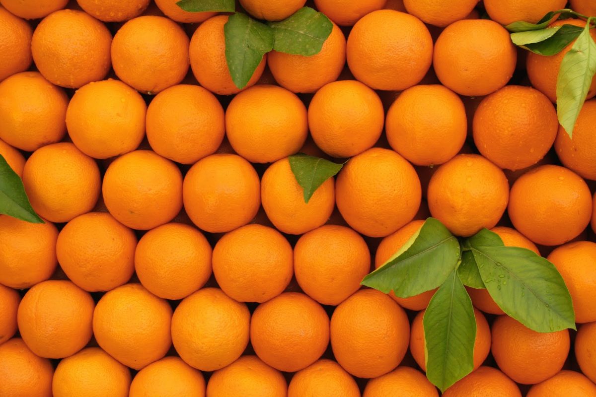 Read more about the article An Orange A Day Reduce The Risk Of Failing Eyesight